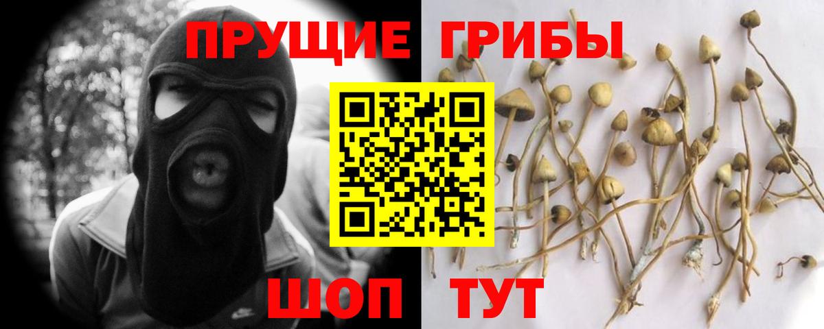 Галлюциногенные грибы Psilocybine cubensis  Вход с VPN  Курчатов 
